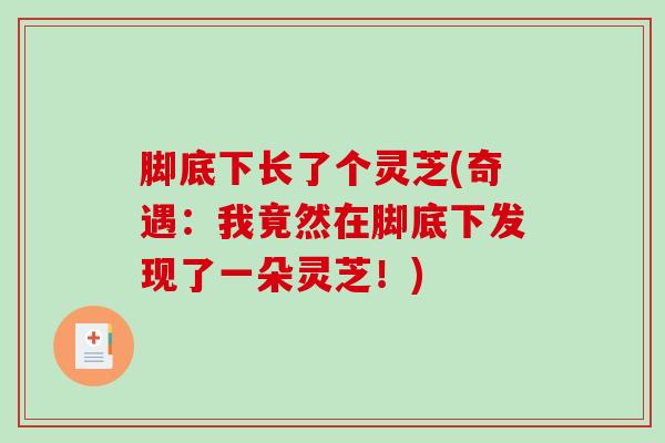 脚底下长了个灵芝(奇遇：我竟然在脚底下发现了一朵灵芝！)