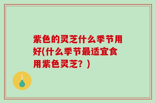 紫色的灵芝什么季节用好(什么季节最适宜食用紫色灵芝？)