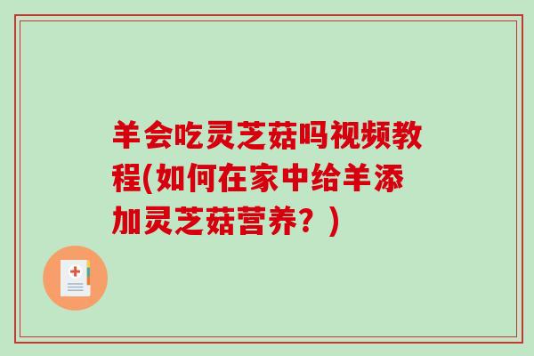 羊会吃灵芝菇吗视频教程(如何在家中给羊添加灵芝菇营养？)