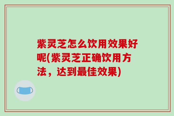 紫灵芝怎么饮用效果好呢(紫灵芝正确饮用方法，达到最佳效果)