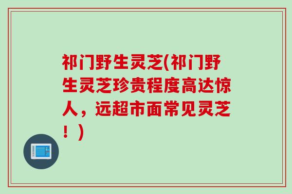 祁门野生灵芝(祁门野生灵芝珍贵程度高达惊人，远超市面常见灵芝！)