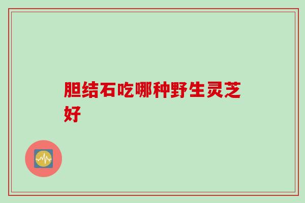 胆结石吃哪种野生灵芝好