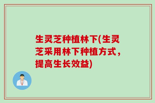 生灵芝种植林下(生灵芝采用林下种植方式，提高生长效益)