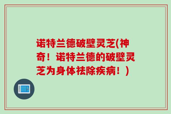 诺特兰德破壁灵芝(神奇!诺特兰德的破壁灵芝为身体祛除!) 诺特兰德破壁灵芝(神奇!诺特兰德的破壁灵芝为身体祛除!)