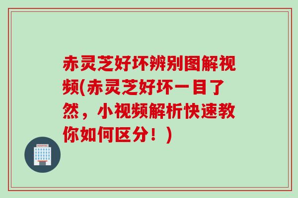 赤灵芝好坏辨别图解视频(赤灵芝好坏一目了然，小视频解析快速教你如何区分！)
