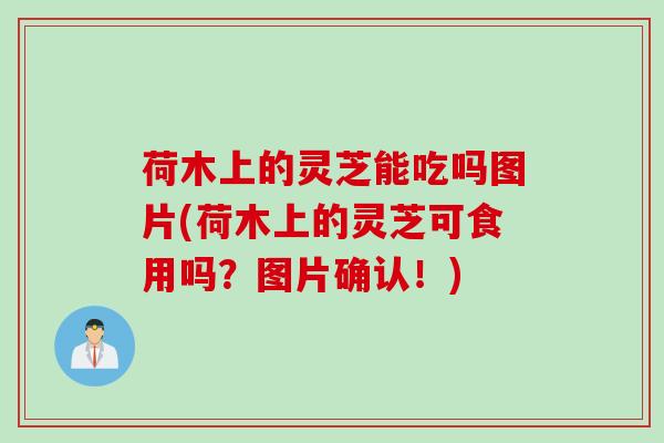 荷木上的灵芝能吃吗图片(荷木上的灵芝可食用吗？图片确认！)