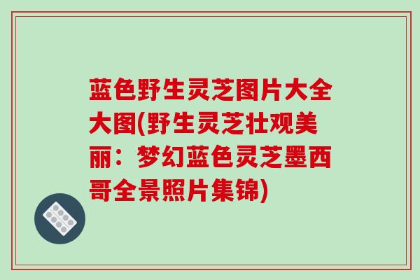 蓝色野生灵芝图片大全大图(野生灵芝壮观美丽：梦幻蓝色灵芝墨西哥全景照片集锦)