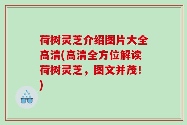荷树灵芝介绍图片大全高清(高清全方位解读荷树灵芝,图文并茂!) 荷树灵芝介绍图片大全高清(高清全方位解读荷树灵芝,图文并茂!)
