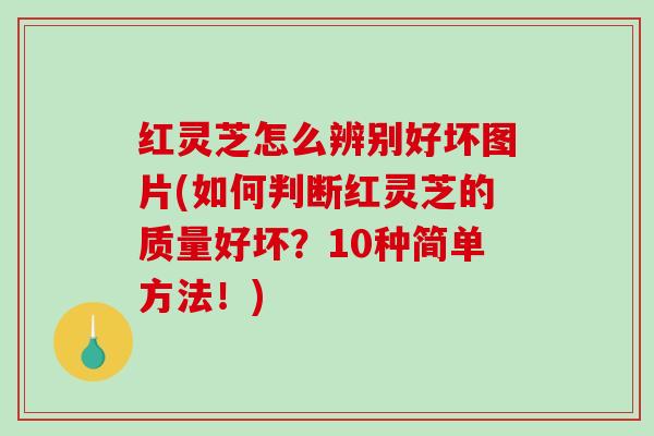 红灵芝怎么辨别好坏图片(如何判断红灵芝的质量好坏？10种简单方法！)