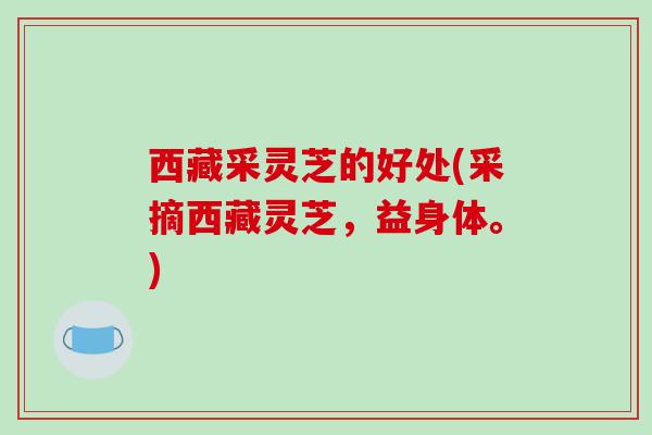 西藏采灵芝的好处(采摘西藏灵芝，益身体。)