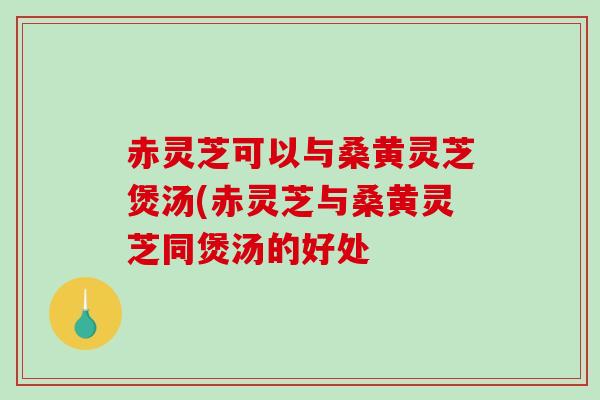 赤灵芝可以与桑黄灵芝煲汤(赤灵芝与桑黄灵芝同煲汤的好处