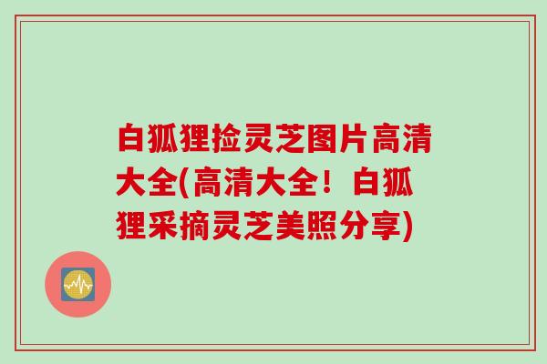 白狐狸捡灵芝图片高清大全(高清大全！白狐狸采摘灵芝美照分享)