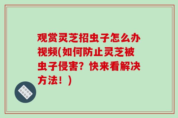 观赏灵芝招虫子怎么办视频(如何防止灵芝被虫子侵害？快来看解决方法！)