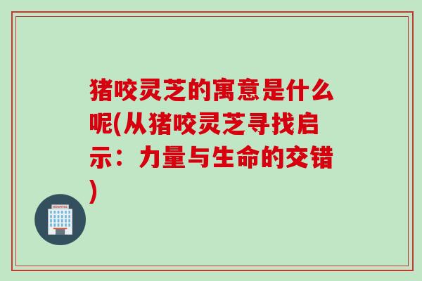猪咬灵芝的寓意是什么呢(从猪咬灵芝寻找启示：力量与生命的交错)