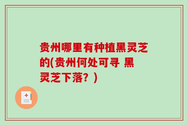 贵州哪里有种植黑灵芝的(贵州何处可寻 黑灵芝下落?) 贵州哪里有种植黑灵芝的(贵州何处可寻 黑灵芝下落?)