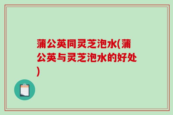 蒲公英同灵芝泡水(蒲公英与灵芝泡水的好处) 蒲公英同灵芝泡水(蒲公英与灵芝泡水的好处)