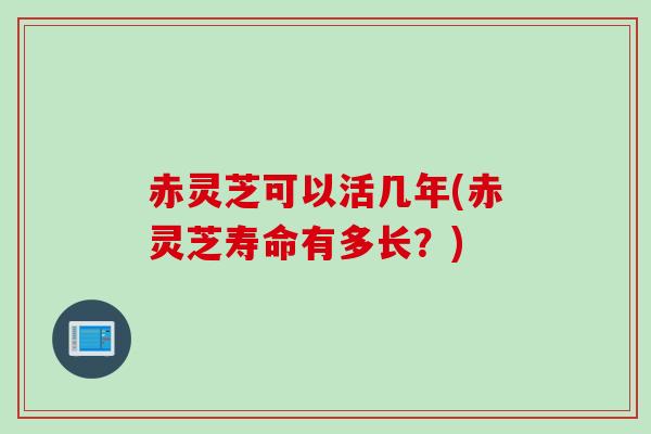 赤灵芝可以活几年(赤灵芝寿命有多长?) 赤灵芝可以活几年(赤灵芝寿命有多长?)