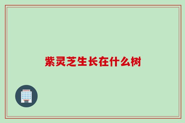 紫灵芝生长在什么树 紫灵芝生长在什么树