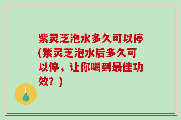 紫灵芝泡水多久可以停(紫灵芝泡水后多久可以停，让你喝到佳功效？)