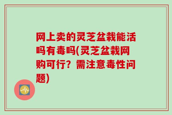 网上卖的灵芝盆栽能活吗有毒吗(灵芝盆栽网购可行?需注意毒性问题) 网上卖的灵芝盆栽能活吗有毒吗(灵芝盆栽网购可行?需注意毒性问题)
