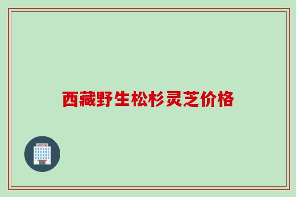 西藏野生松杉灵芝价格 西藏野生松杉灵芝价格