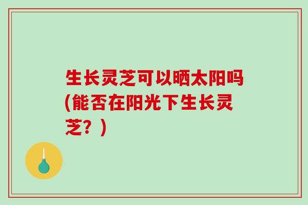 生长灵芝可以晒太阳吗(能否在阳光下生长灵芝？)