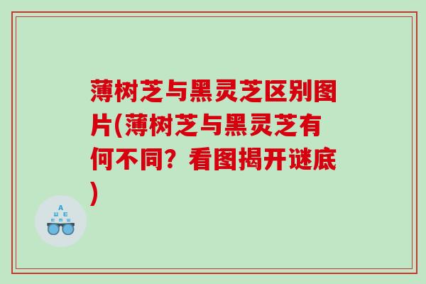薄树芝与黑灵芝区别图片(薄树芝与黑灵芝有何不同？看图揭开谜底)