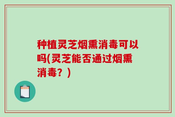 种植灵芝烟熏消毒可以吗(灵芝能否通过烟熏消毒?) 种植灵芝烟熏消毒可以吗(灵芝能否通过烟熏消毒?)