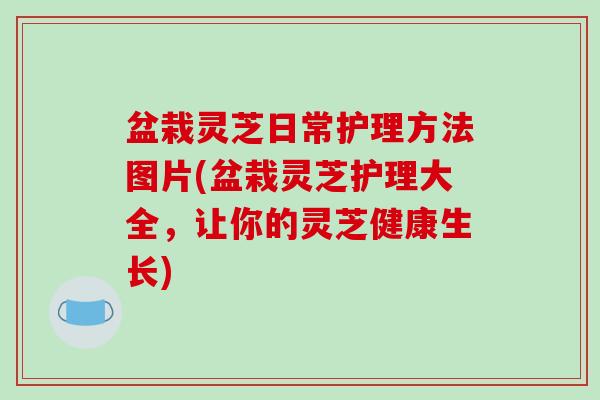 盆栽灵芝日常护理方法图片(盆栽灵芝护理大全,让你的灵芝健康生长) 盆栽灵芝日常护理方法图片(盆栽灵芝护理大全,让你的灵芝健康生长)