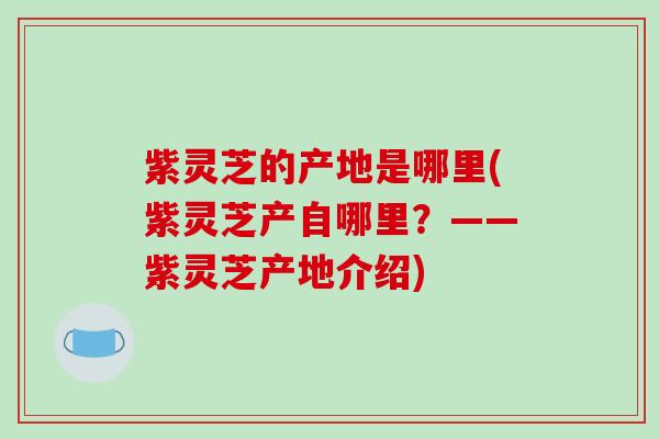 紫灵芝的产地是哪里(紫灵芝产自哪里?——紫灵芝产地介绍) 紫灵芝的产地是哪里(紫灵芝产自哪里?——紫灵芝产地介绍)