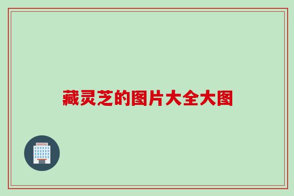 藏灵芝的图片大全大图