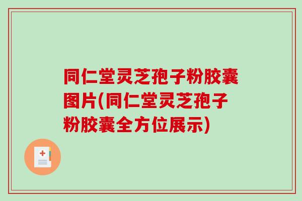 同仁堂灵芝孢子粉胶囊图片(同仁堂灵芝孢子粉胶囊全方位展示)