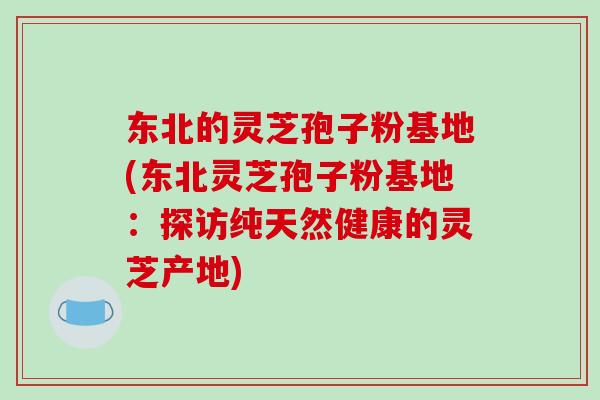 东北的灵芝孢子粉基地(东北灵芝孢子粉基地：探访纯天然健康的灵芝产地)