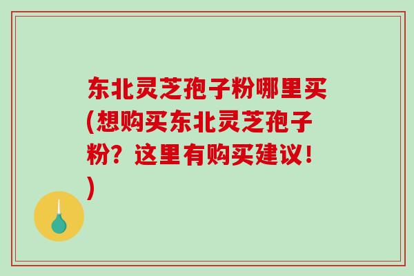 东北灵芝孢子粉哪里买(想购买东北灵芝孢子粉？这里有购买建议！)