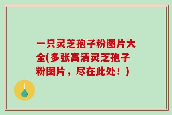 一只灵芝孢子粉图片大全(多张高清灵芝孢子粉图片，尽在此处！)