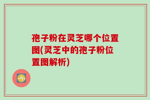 孢子粉在灵芝哪个位置图(灵芝中的孢子粉位置图解析)