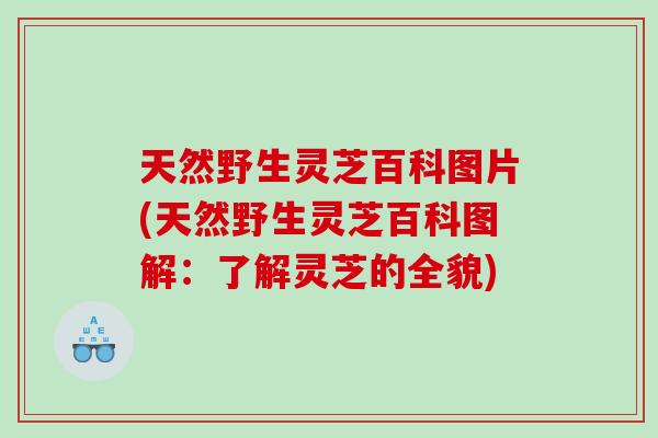 天然野生灵芝百科图片(天然野生灵芝百科图解：了解灵芝的全貌)