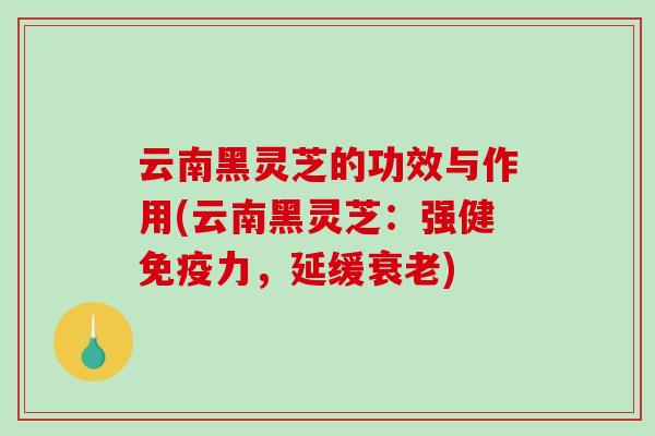 云南黑灵芝的功效与作用(云南黑灵芝：强健免疫力，延缓衰老)