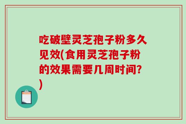 吃破壁灵芝孢子粉多久见效(食用灵芝孢子粉的效果需要几周时间？)