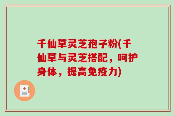 千仙草灵芝孢子粉(千仙草与灵芝搭配，呵护身体，提高免疫力)