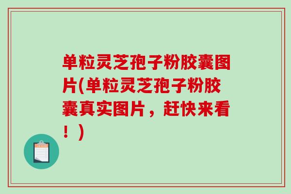 单粒灵芝孢子粉胶囊图片(单粒灵芝孢子粉胶囊真实图片，赶快来看！)