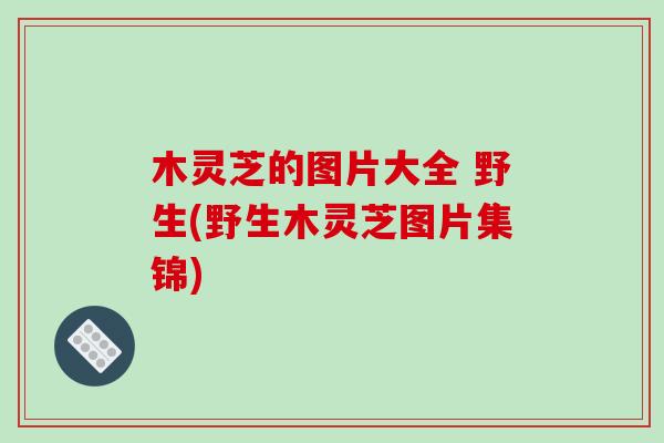 木灵芝的图片大全 野生(野生木灵芝图片集锦)