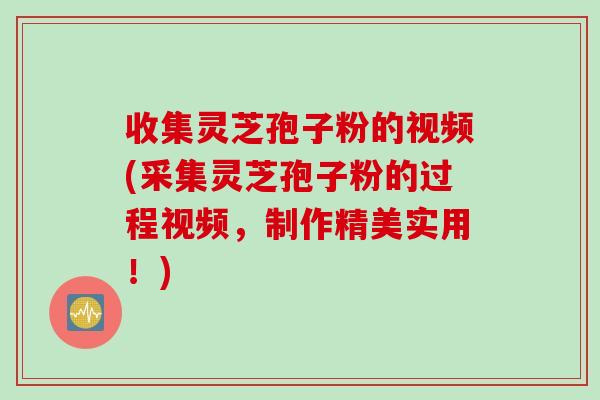 收集灵芝孢子粉的视频(采集灵芝孢子粉的过程视频，制作精美实用！)