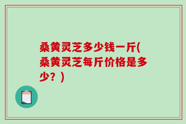 桑黄灵芝多少钱一斤(桑黄灵芝每斤价格是多少？)