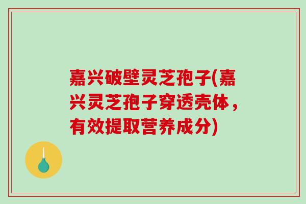 嘉兴破壁灵芝孢子(嘉兴灵芝孢子穿透壳体，有效提取营养成分)