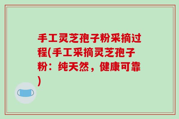 手工灵芝孢子粉采摘过程(手工采摘灵芝孢子粉：纯天然，健康可靠)