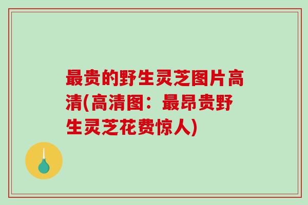 最贵的野生灵芝图片高清(高清图：最昂贵野生灵芝花费惊人)