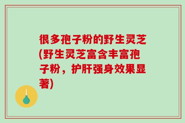 很多孢子粉的野生灵芝(野生灵芝富含丰富孢子粉，护肝强身效果显著)