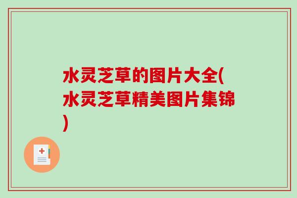 水灵芝草的图片大全(水灵芝草精美图片集锦)