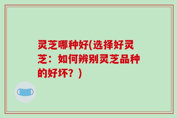 灵芝哪种好(选择好灵芝：如何辨别灵芝品种的好坏？)